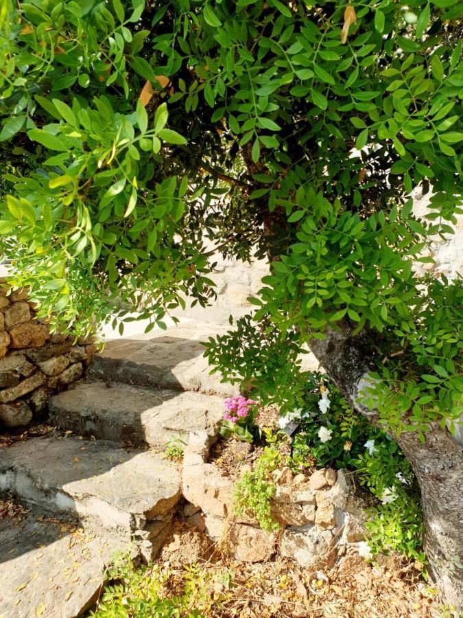 Appartamento Vasiliki 포르토산파울로 외부 사진